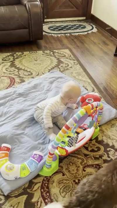 Baby gets knocked out by dog breath