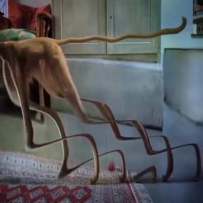 monkaW ?