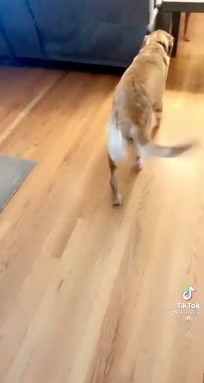 wait for it