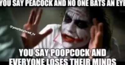 Society am i right