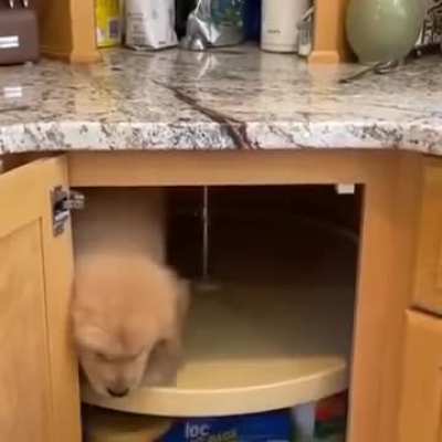 Mistakes have been made