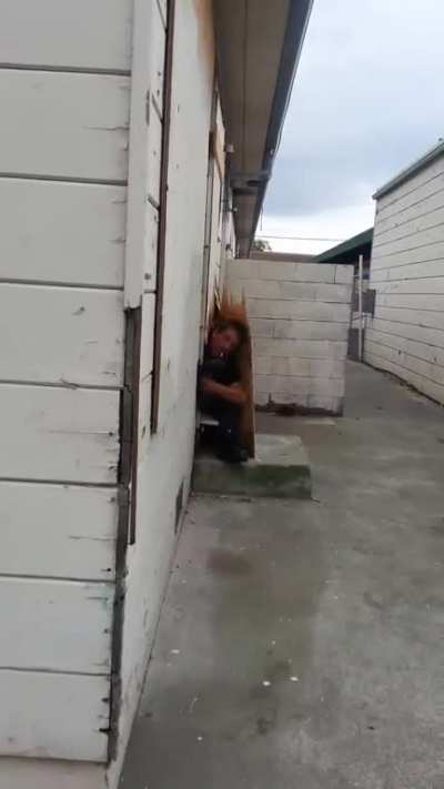 A Crackhead hatches from his egg