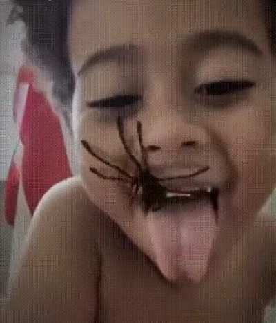 Aranha