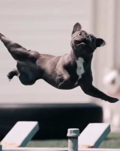 This is majestic.