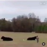 Thats not safe