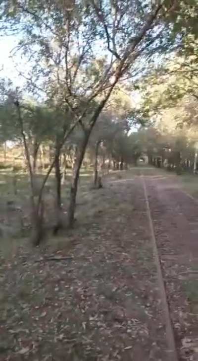 Mi jefa quiere que todos sepan. 