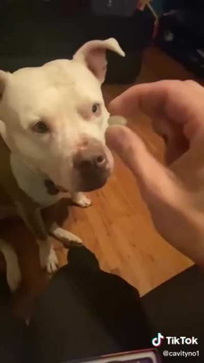 Who’s a good boy?