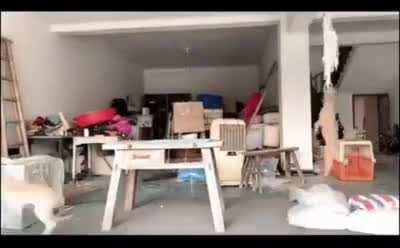 Размножение в приоритете
