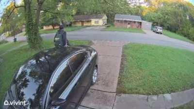 Dog chases man onto neighbors car with a twist