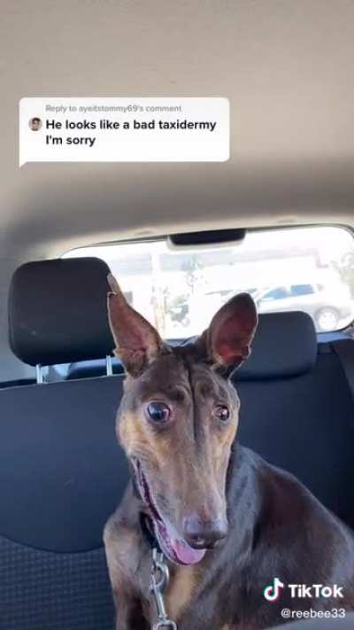 he's still cute though