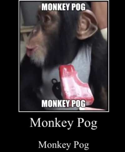 🐵 😯