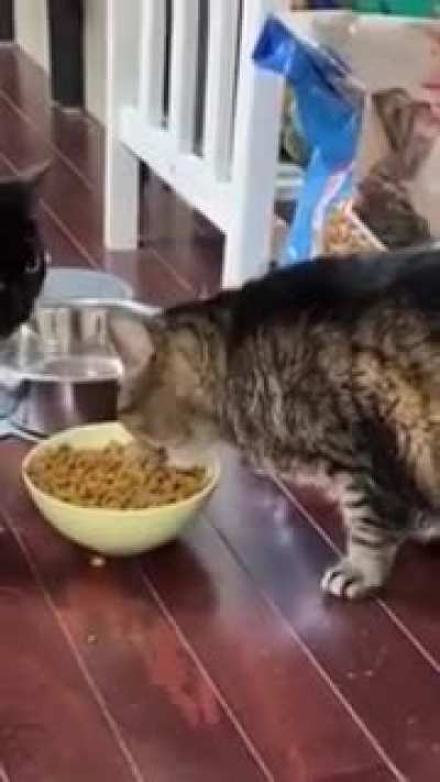You are not you when hungry.
