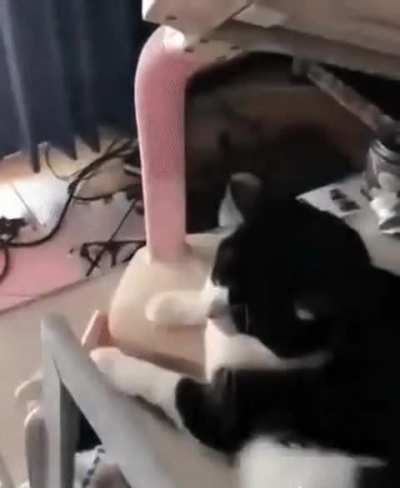 Котол<wbr>ампа