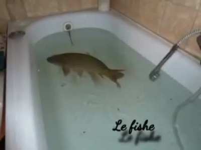 Leaked Fontaine Kokomi Gameplay 