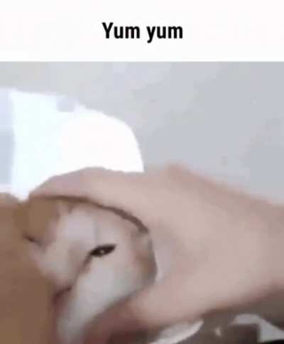 yum