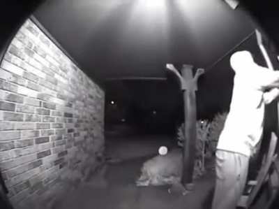196 - Video #9619