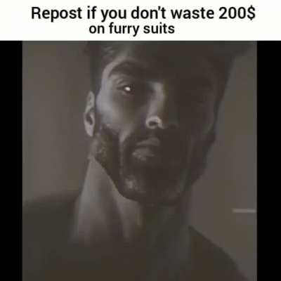 No furry
