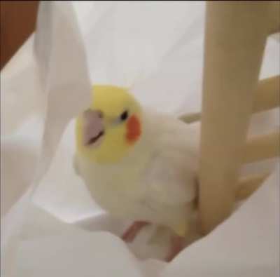 He found him