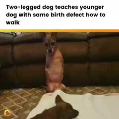 Made me smile