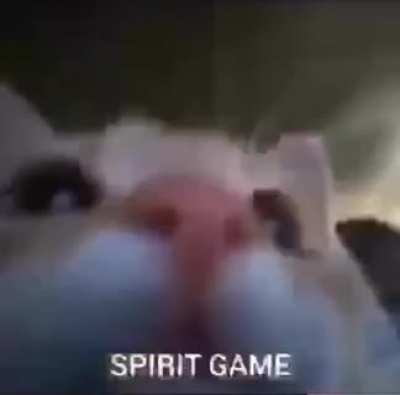 banana cat