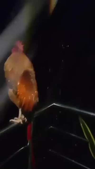 ‎