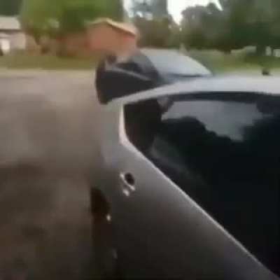 The Prius man