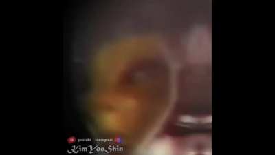 KGBTR - Video #6074