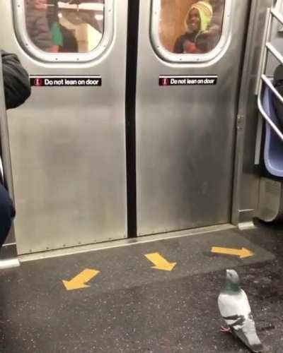 He’s just patiently waiting to get off the subway and he’s met with a screaming child