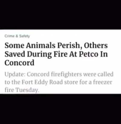 Pet store