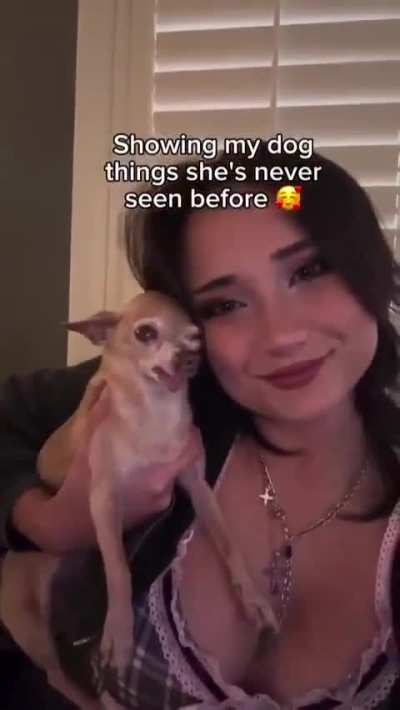 heartwarming