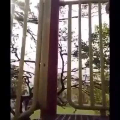 Bitch scream