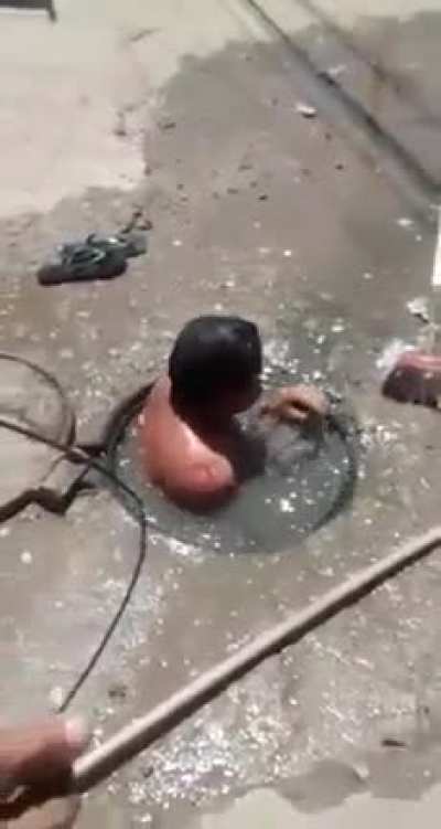 Ratatulie na cachaça 