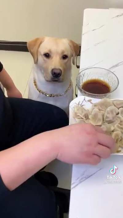 🤣🤣🤣