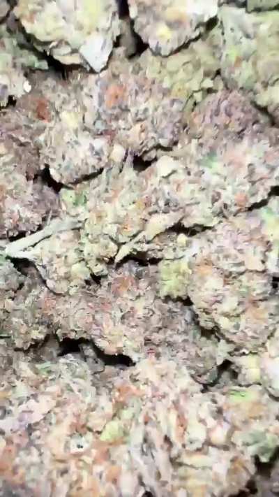 Black Cherry Gelato