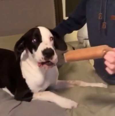 He just wanted a snack