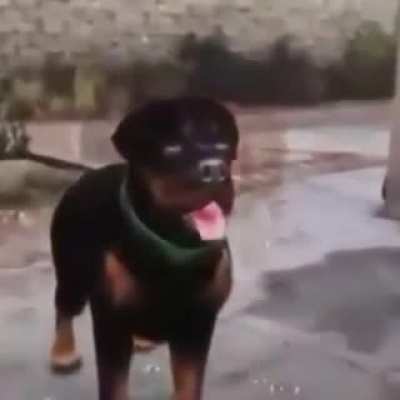 Do