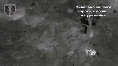 Russian Desertcross 1000-3 