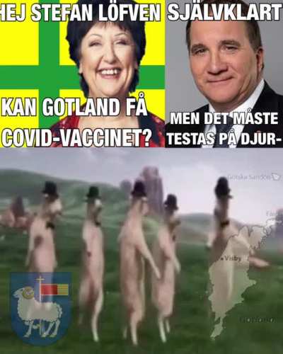 Gotland 🤢🐑