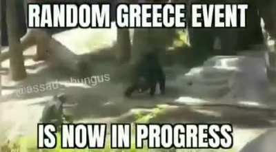 Haha Gayreek = 🐒