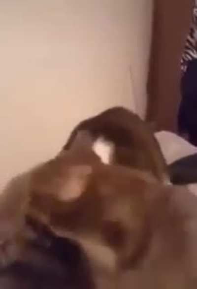 Nooooo