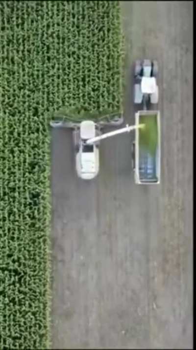 Crop harvesting efficiency