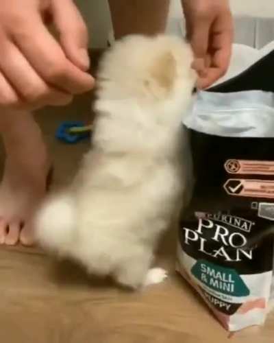Someone's hungry