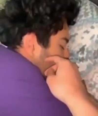 Prank sybernetica