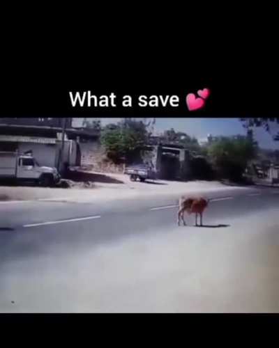Insert title