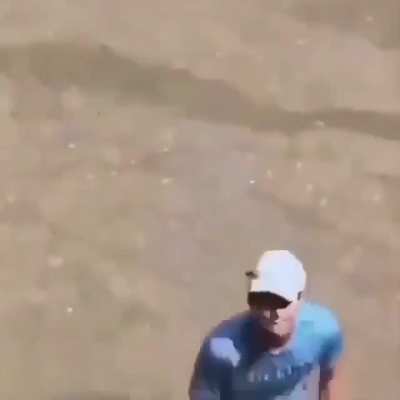 Bonk