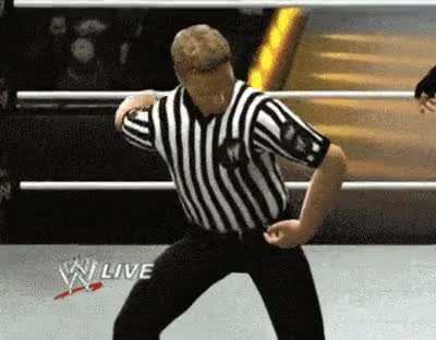 [WWE videogame]