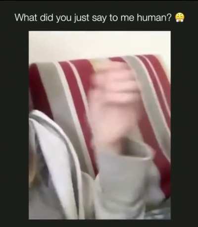 She sounds offended lol!