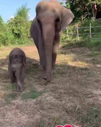 Greatest table manners!