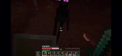I love how there’s 4 flairs and 1 is just for minecraft