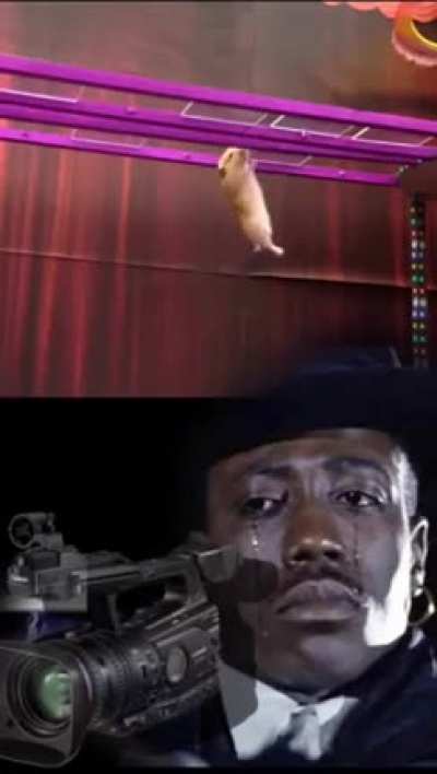 Broo why??
